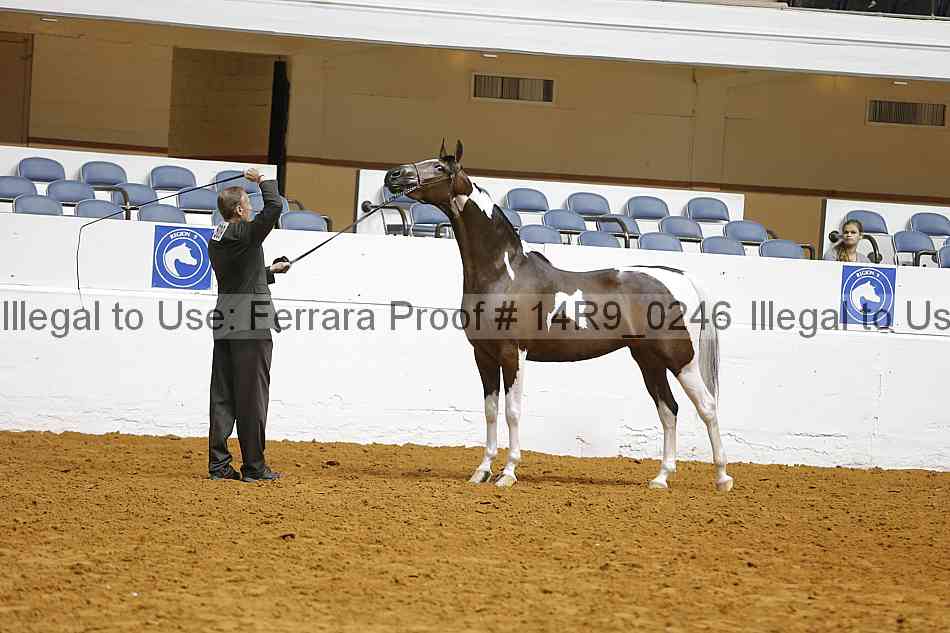 Proof 14r9_0246