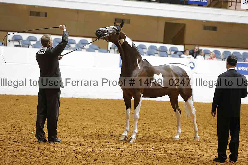 Proof 14r9_0247
