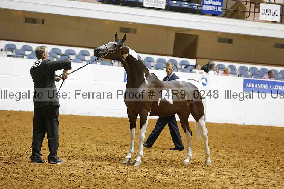 Proof 14r9_0248