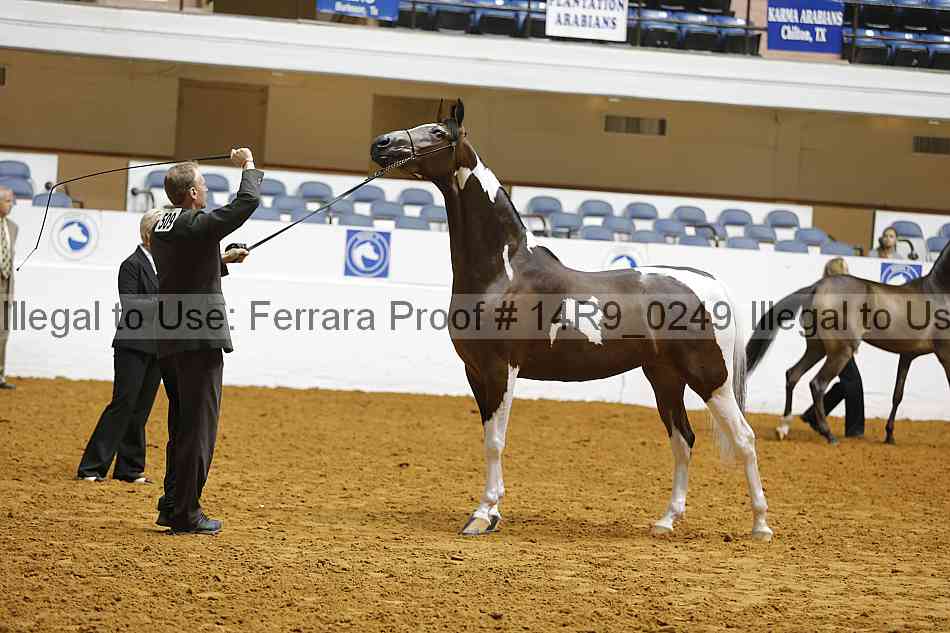 Proof 14r9_0249
