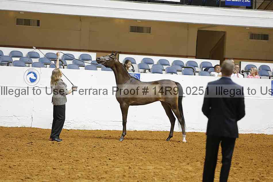 Proof 14r9_0251