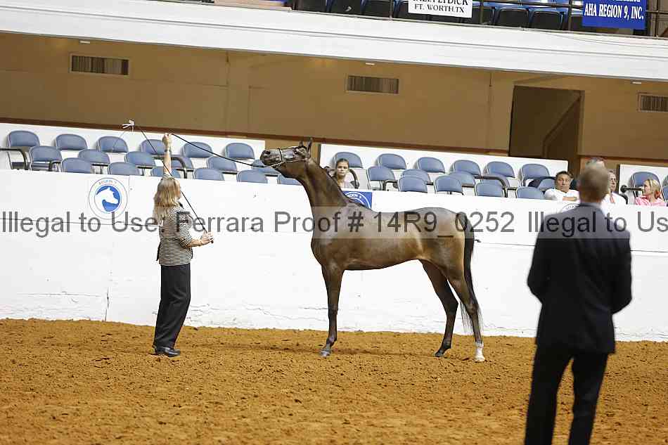 Proof 14r9_0252