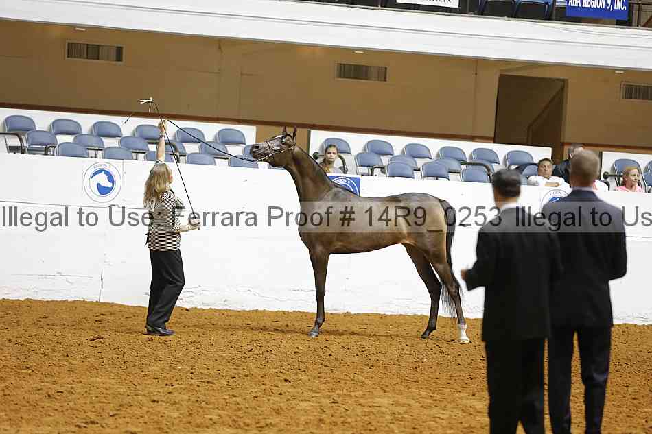 Proof 14r9_0253