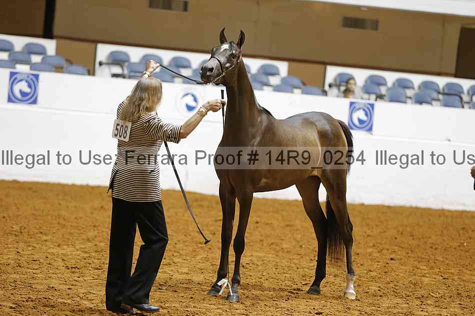 Proof 14r9_0254
