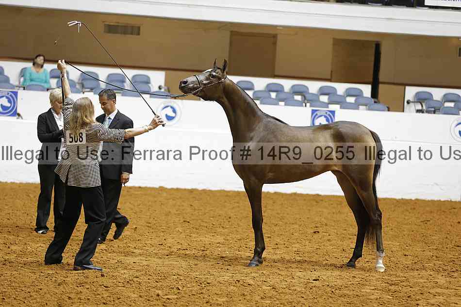 Proof 14r9_0255