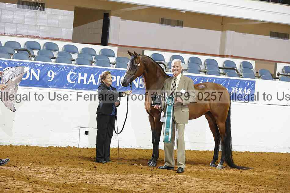 Proof 14r9_0257