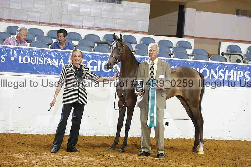 Proof 14r9_0259