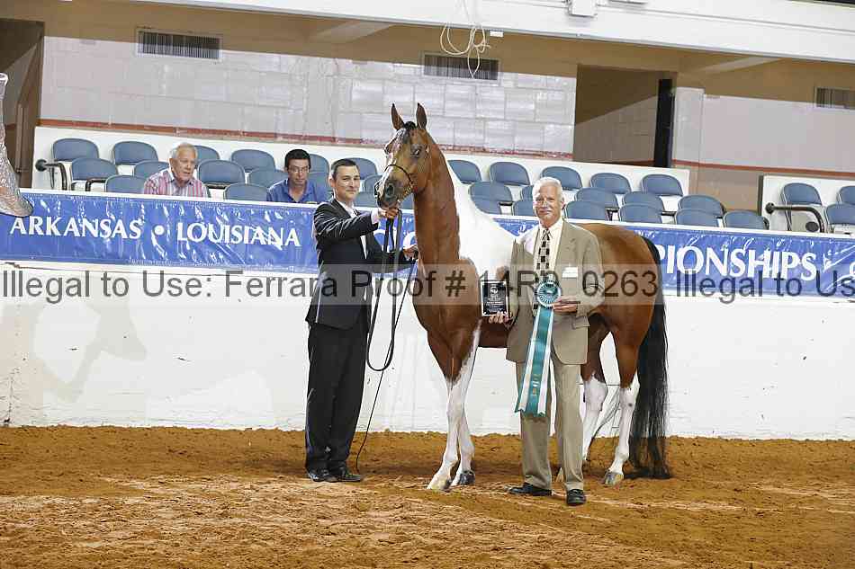 Proof 14r9_0263