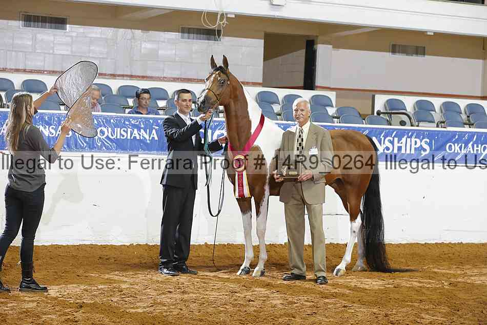 Proof 14r9_0264