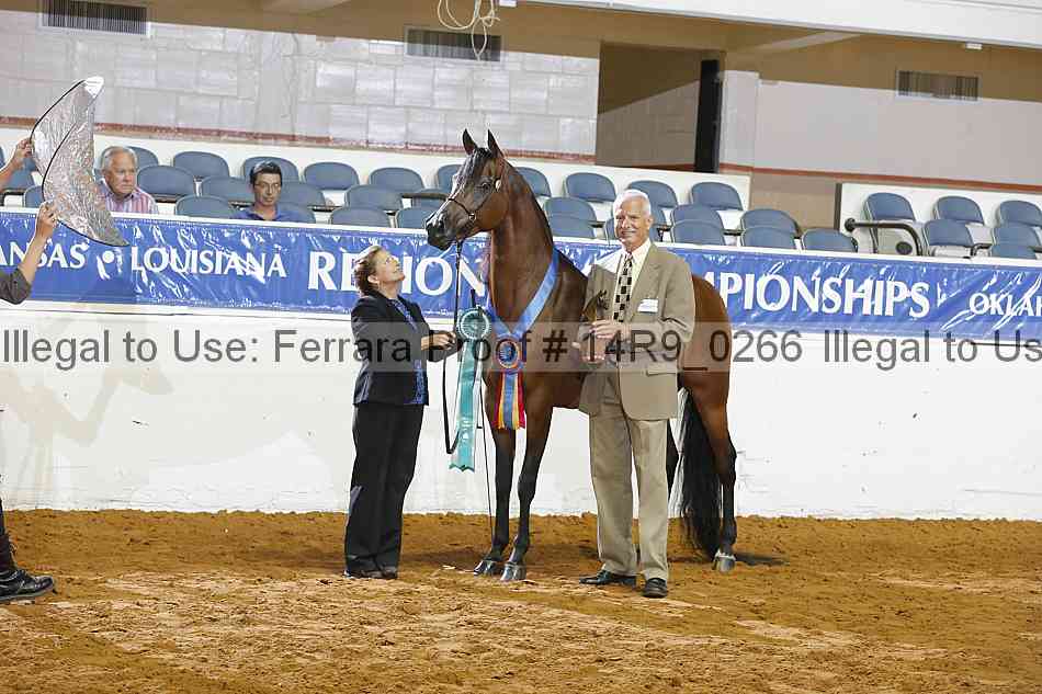 Proof 14r9_0266