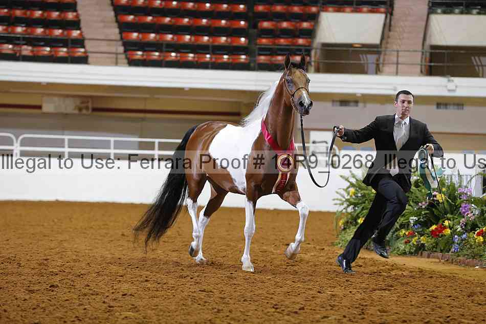 Proof 14r9_0268