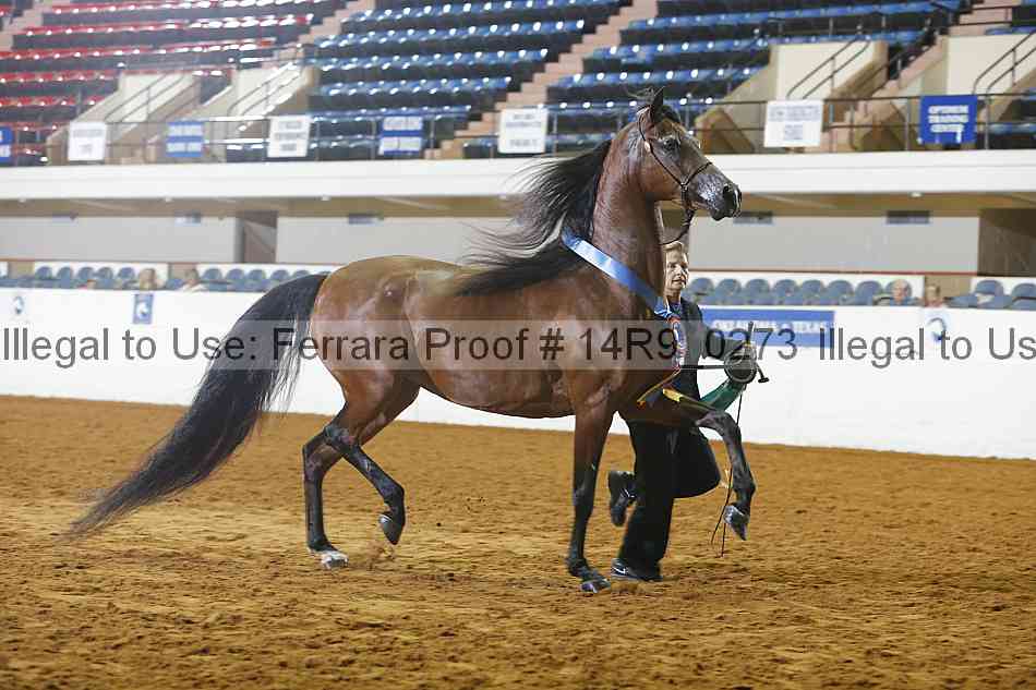 Proof 14r9_0273