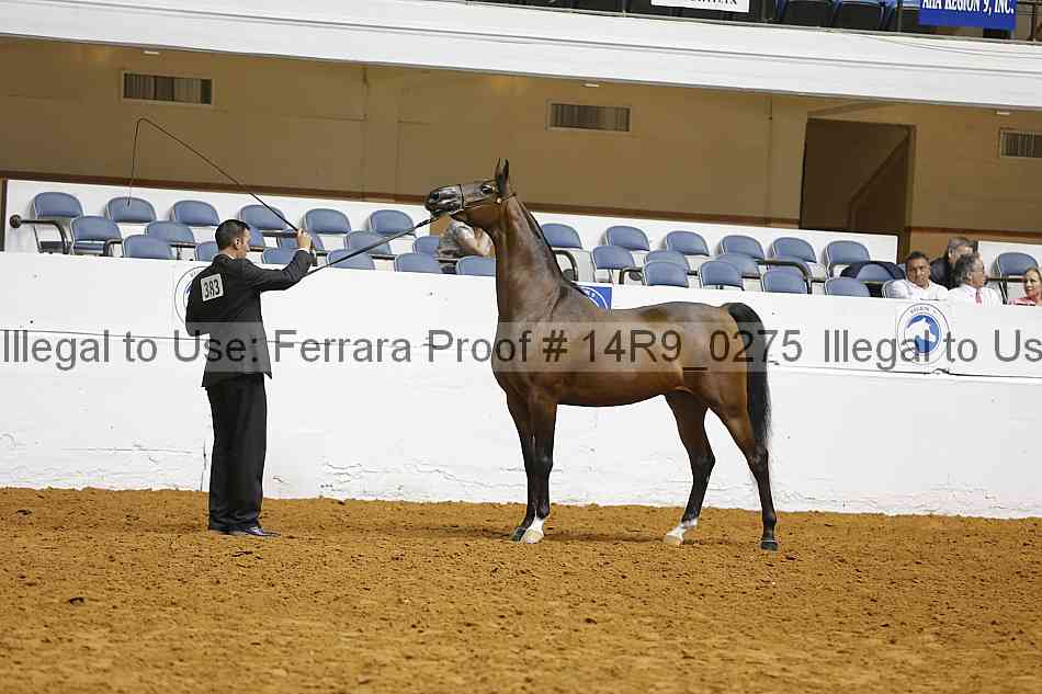 Proof 14r9_0275