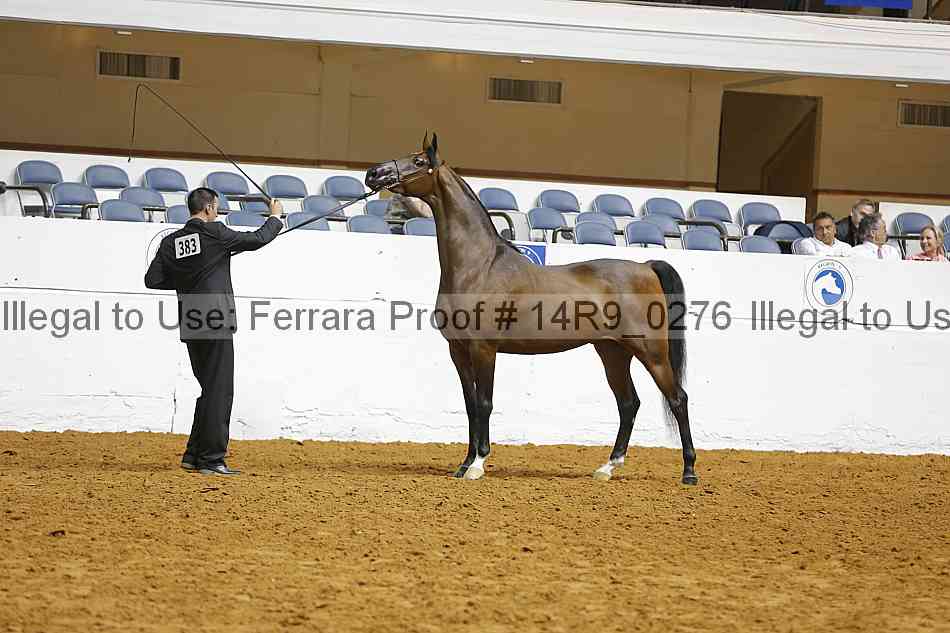 Proof 14r9_0276