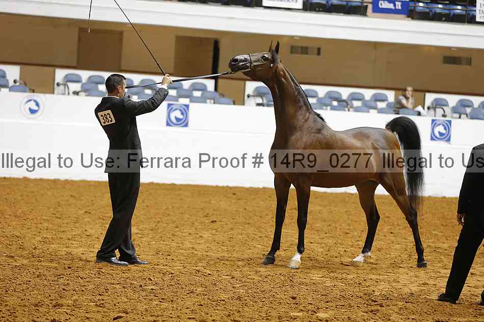 Proof 14r9_0277
