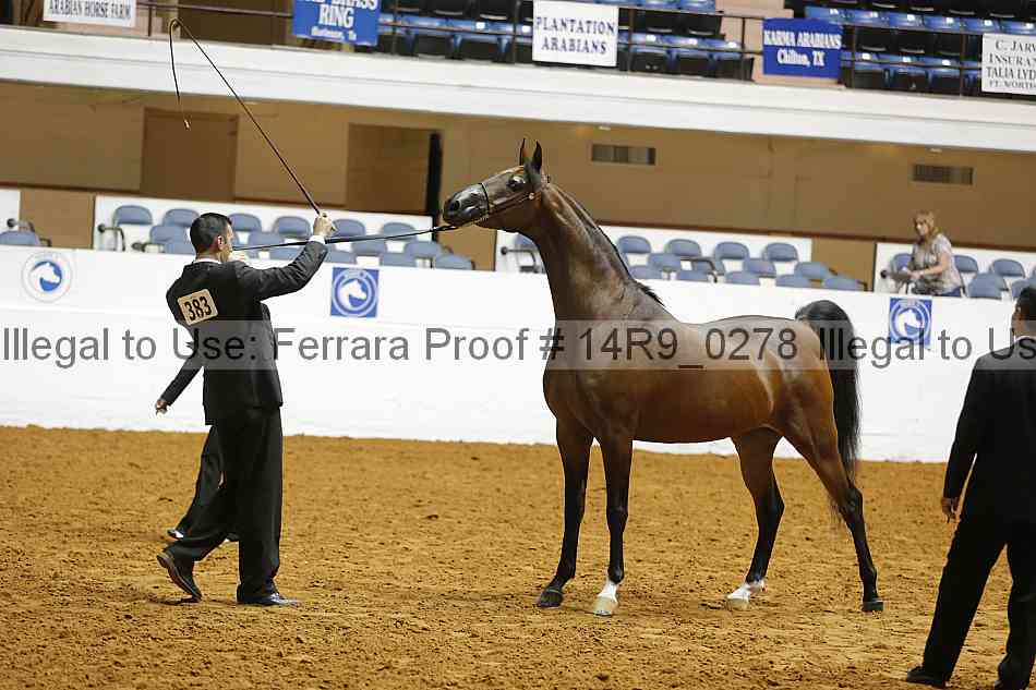 Proof 14r9_0278