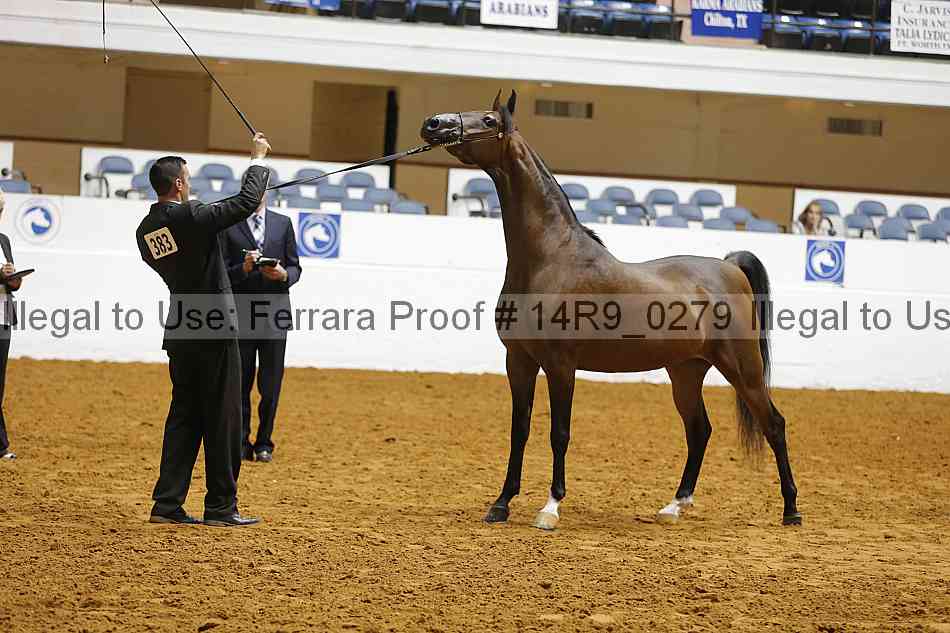 Proof 14r9_0279