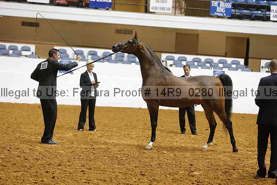 Proof 14r9_0280