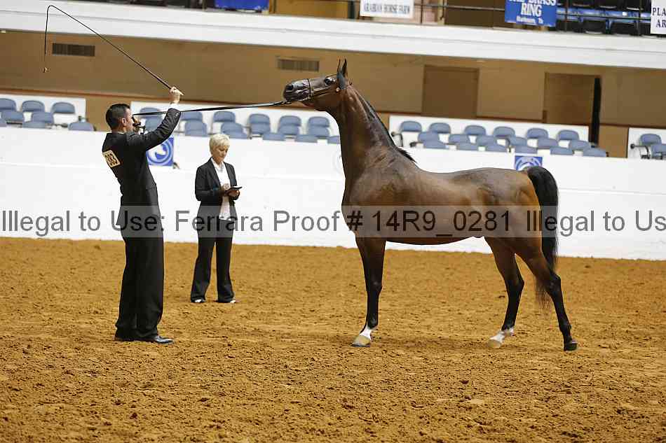 Proof 14r9_0281