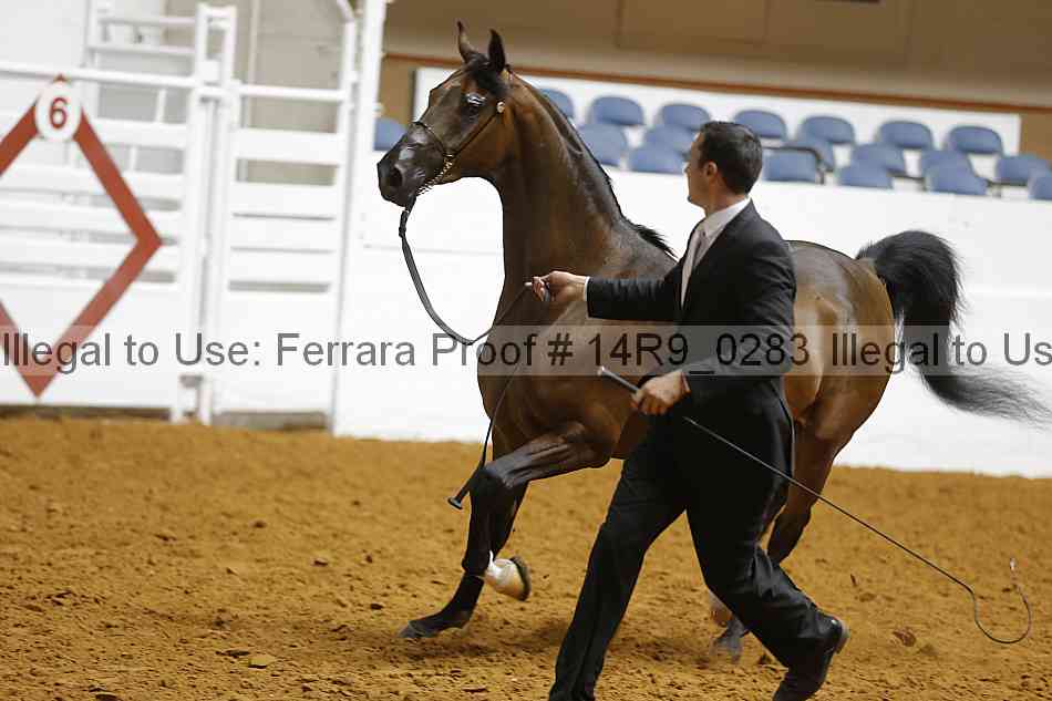 Proof 14r9_0283