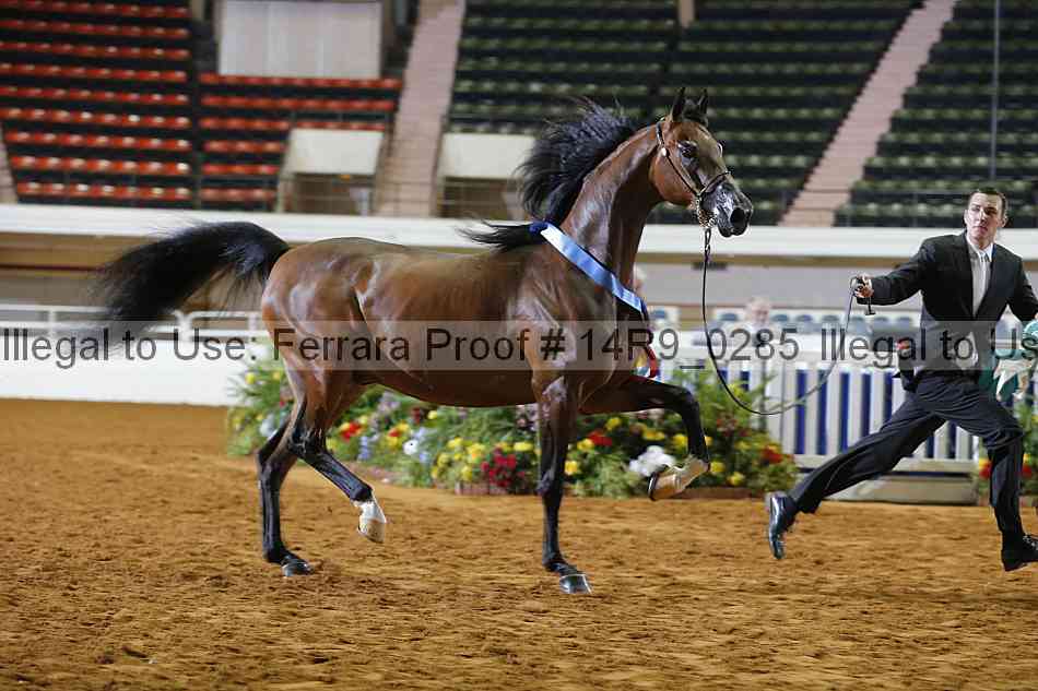 Proof 14r9_0285