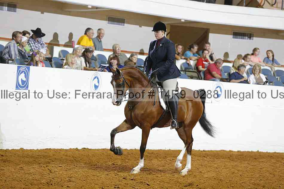 Proof 14r9_0288