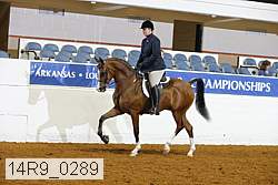 14r9_0289 proof