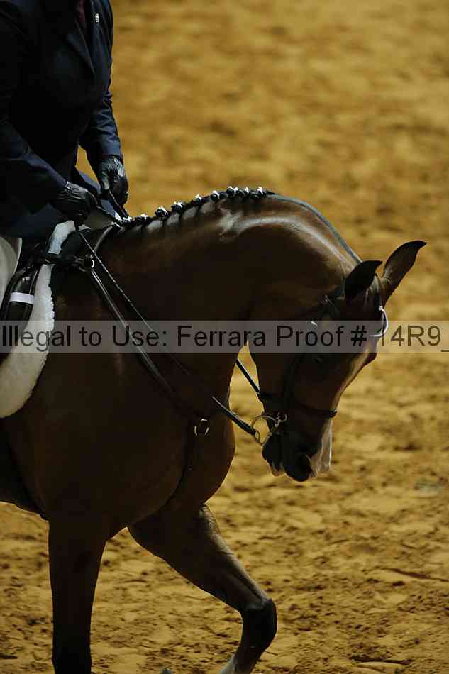 Proof 14r9_0304