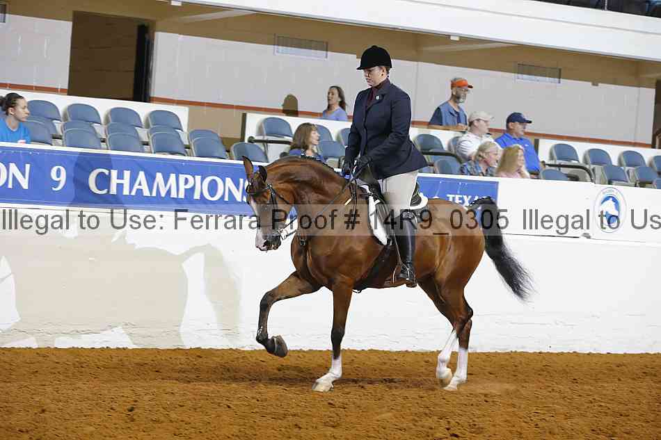 Proof 14r9_0305