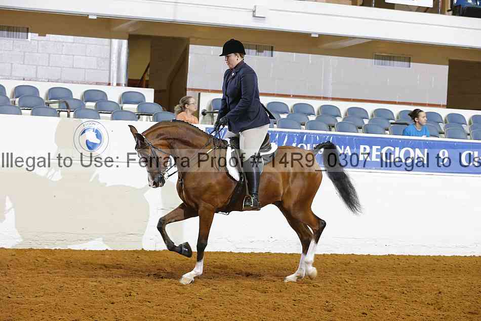 Proof 14r9_0307