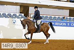 14r9_0307 proof