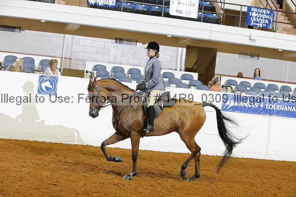 Proof 14r9_0309