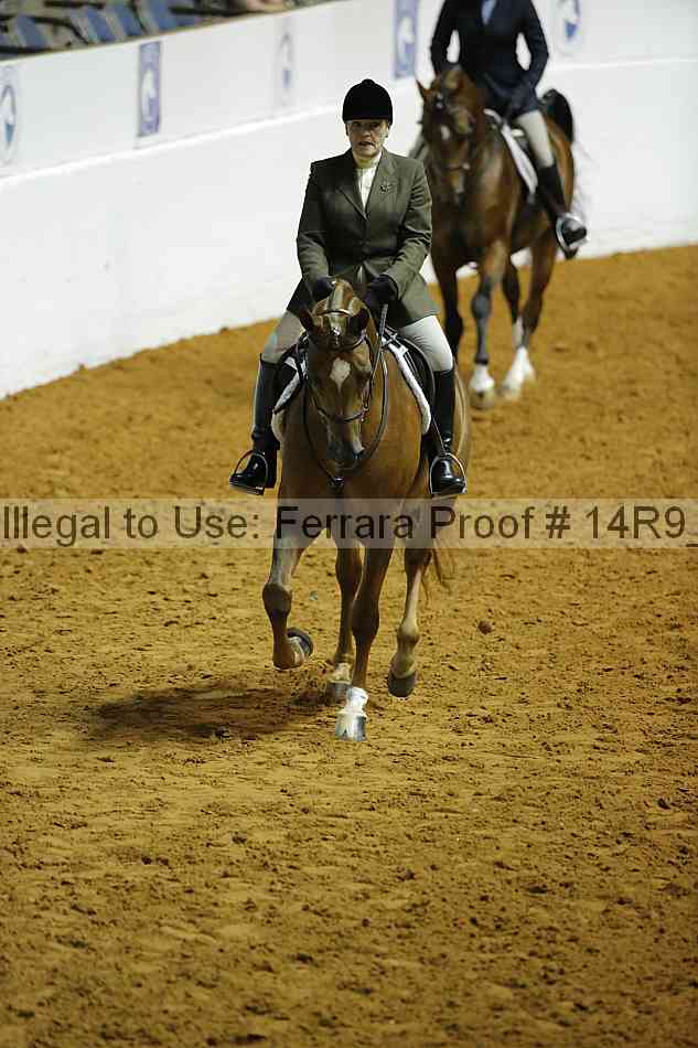 Proof 14r9_0310