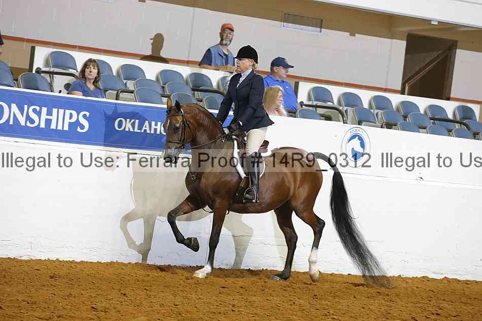 Proof 14r9_0312