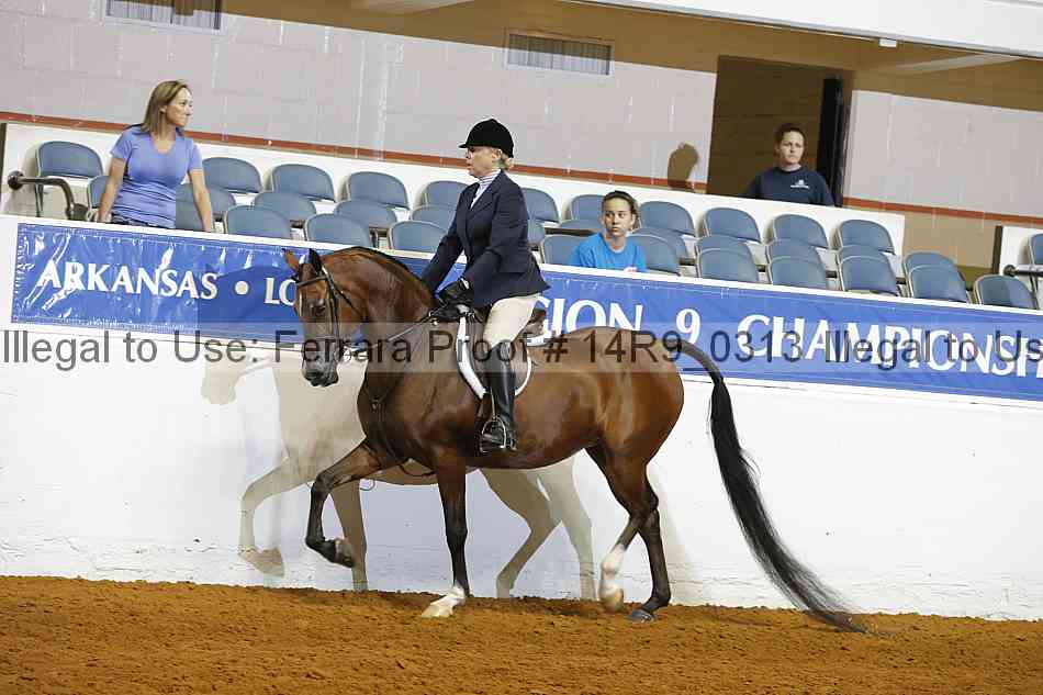 Proof 14r9_0313