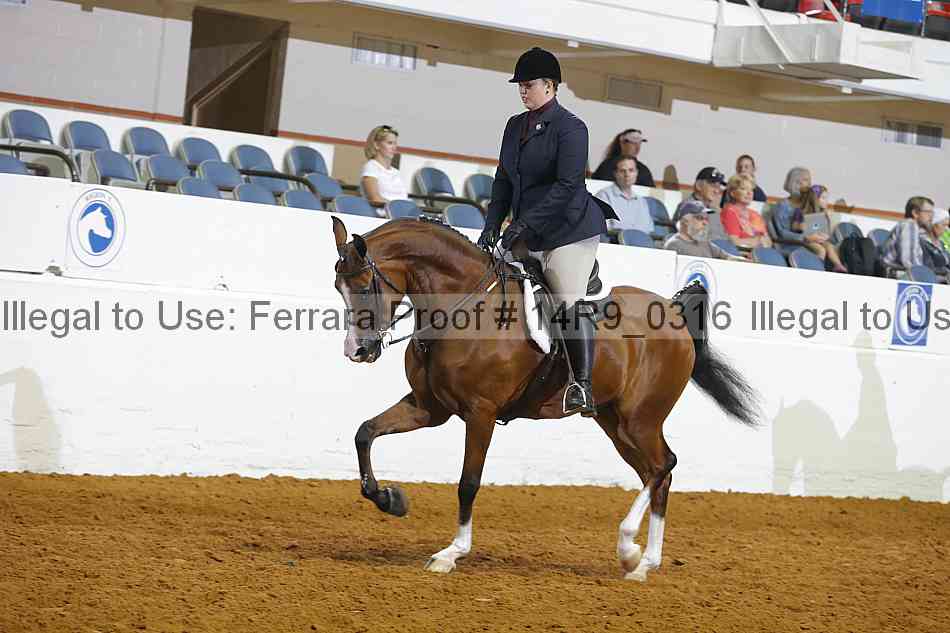 Proof 14r9_0316