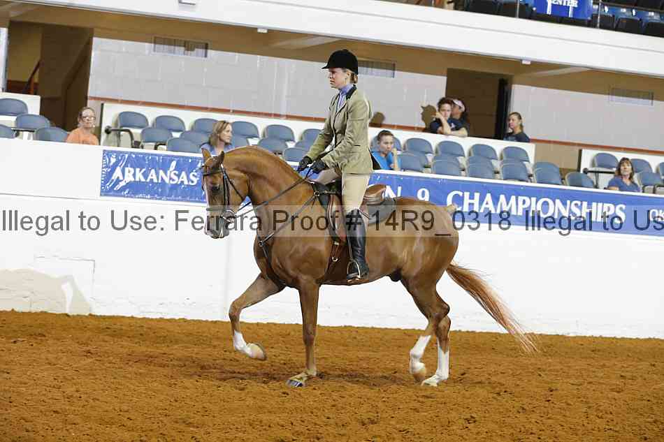 Proof 14r9_0318