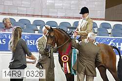 14r9_0326 proof