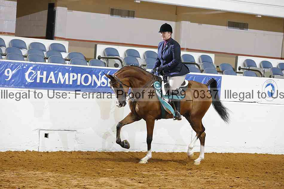 Proof 14r9_0337