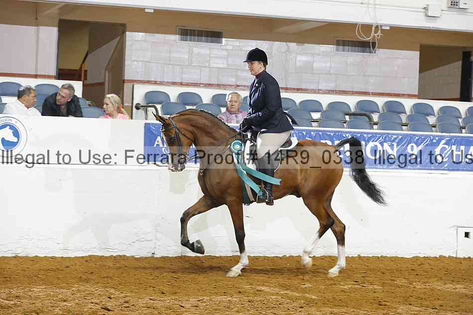 Proof 14r9_0338