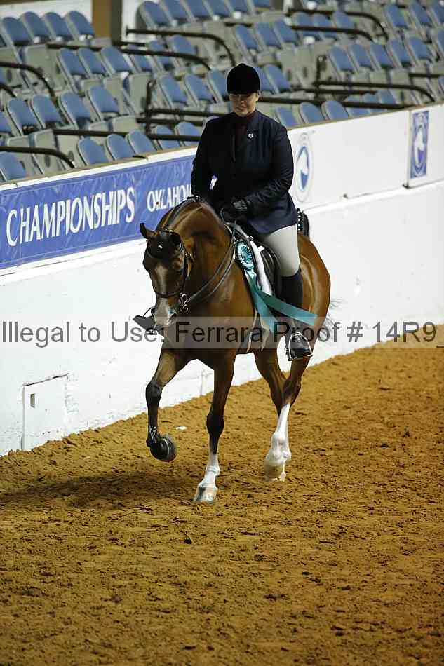 Proof 14r9_0339