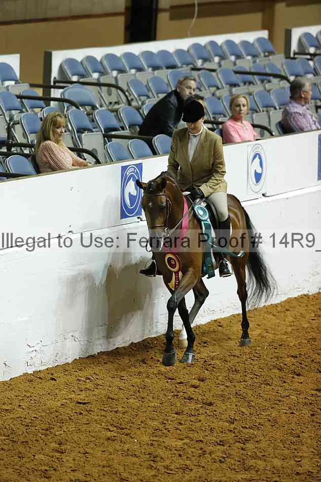 Proof 14r9_0354