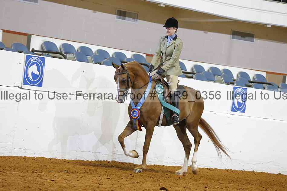 Proof 14r9_0356