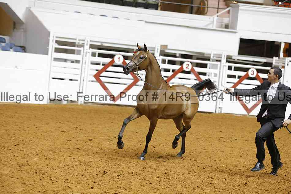 Proof 14r9_0364