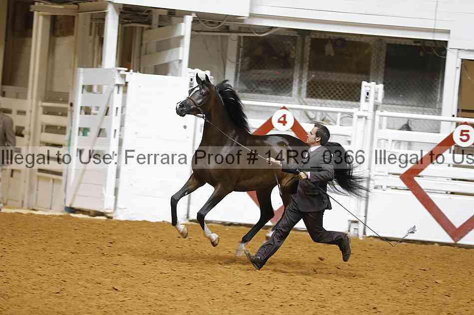 Proof 14r9_0366