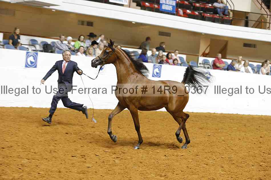 Proof 14r9_0367