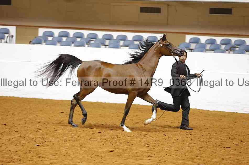 Proof 14r9_0368