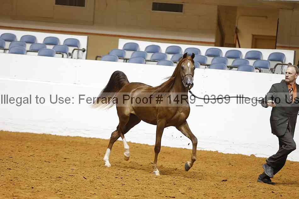 Proof 14r9_0369
