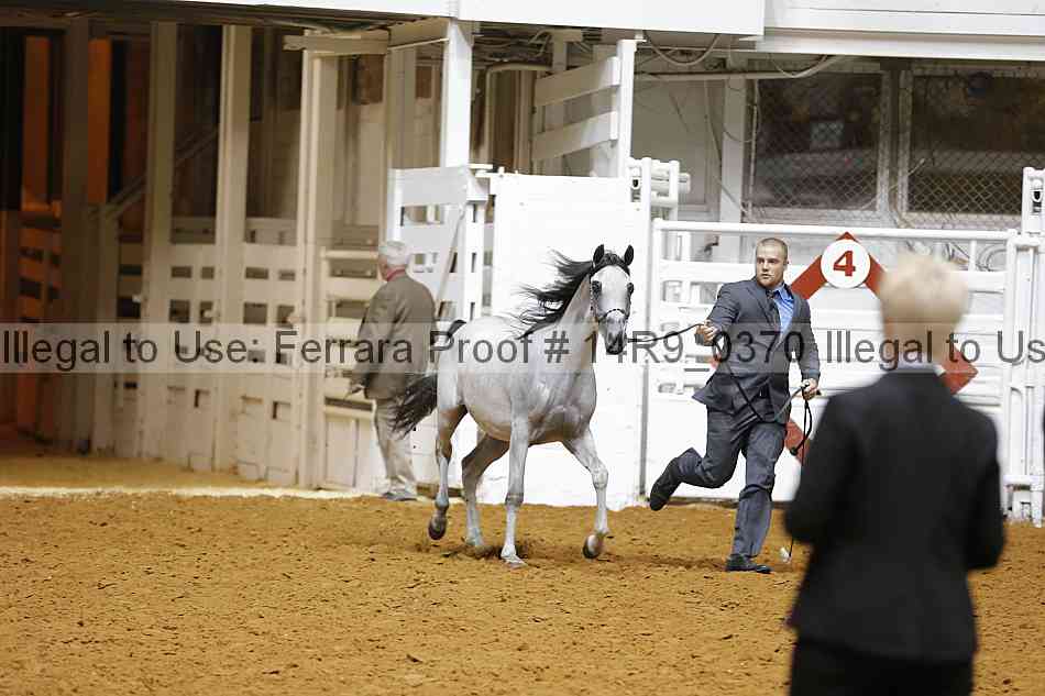 Proof 14r9_0370