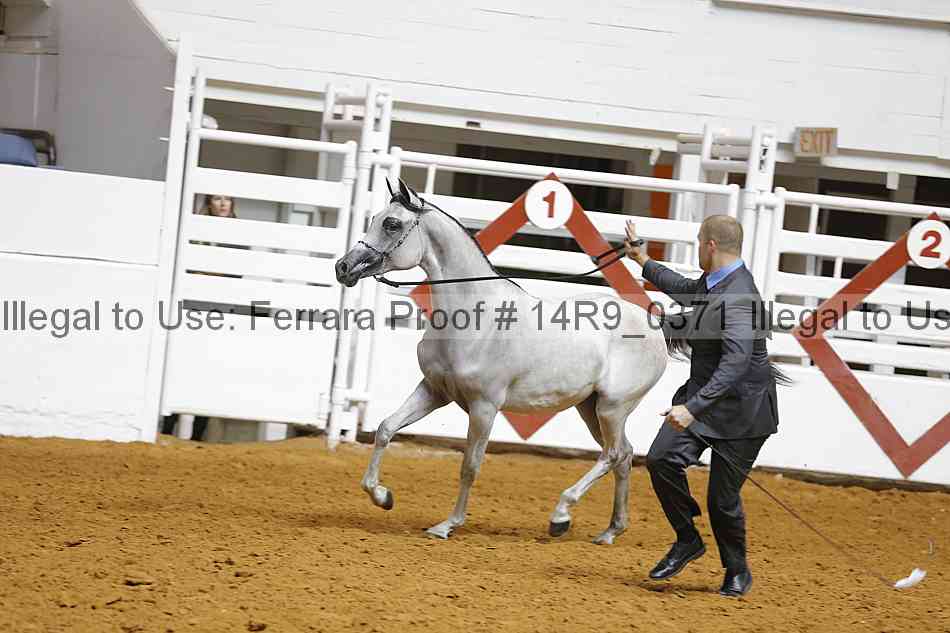 Proof 14r9_0371